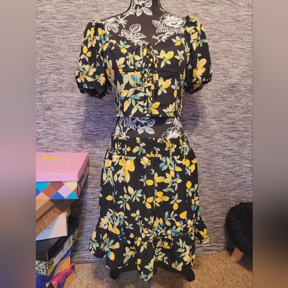 Two piece lily rose dress set